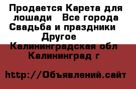 Продается Карета для лошади - Все города Свадьба и праздники » Другое   . Калининградская обл.,Калининград г.